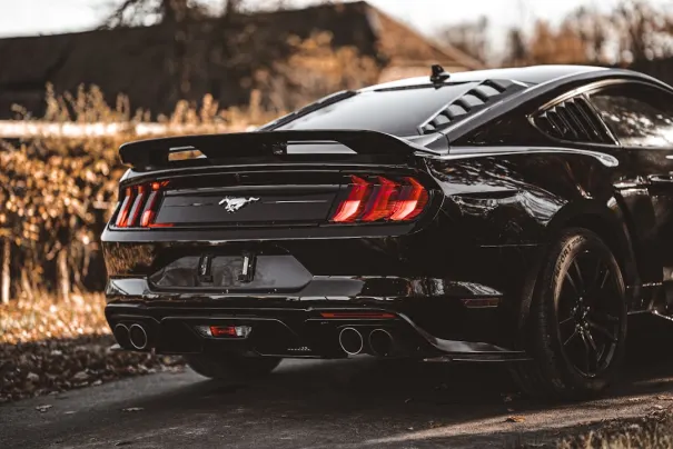 Gomblingo Casino Android/iOS Forrit